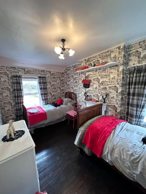 Memory Lane Farmhouse Carlingford Louth Exteriér fotografie